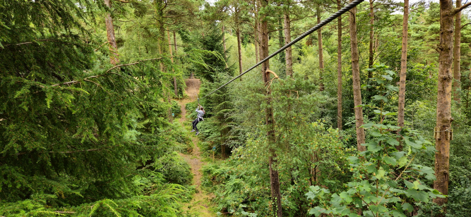 Go Ape Zip Line